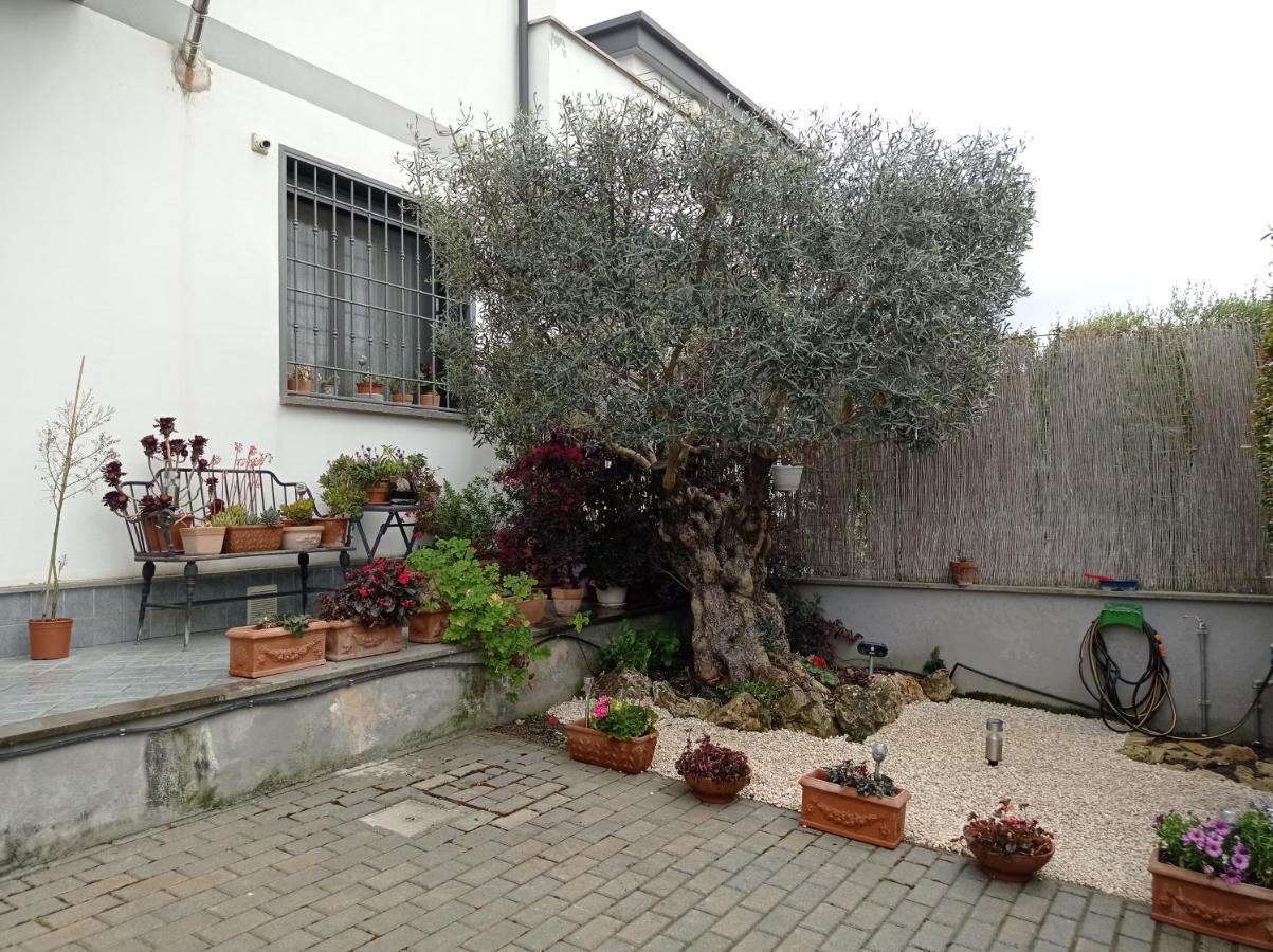 Villa Sogno Castel Fusano Exterior foto